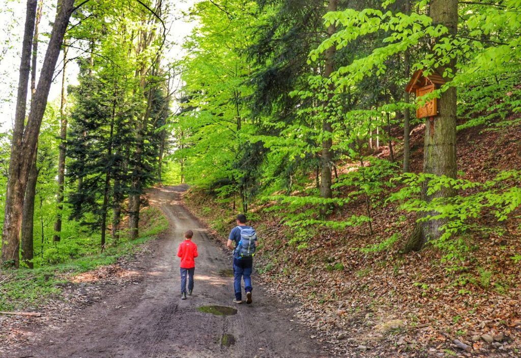 Szeroka leśna droga prowadząca przez las na niebieskim szlaku idącym z Porąbki na Trzonkę, turysta z dzieckiem