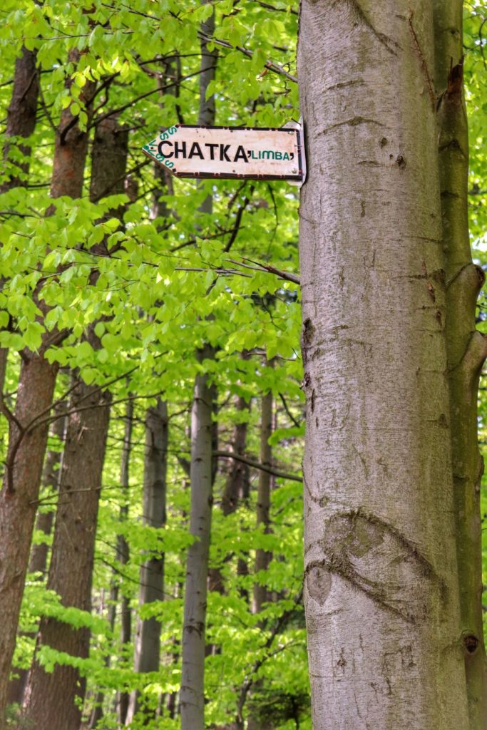Tabliczka wskazująca kierunek drogi do Chatki LIMBA