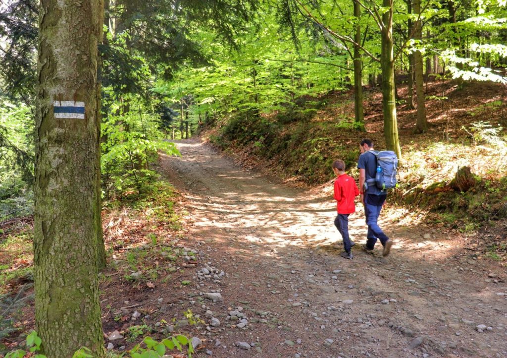 Turysta z dzieckiem na niebieskim szlaku na Trzonkę, piękny słoneczny dzień, las