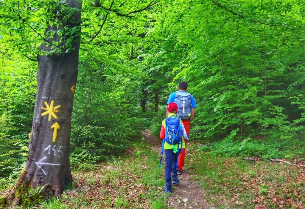 Beskid Mały, las, dziecko , młody mężczyzna, szlak - żółte słoneczko do Chatki pod Potrójną