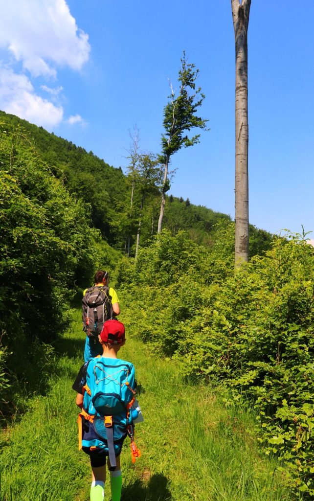 Rezerwat Przyrody Zasolnica - szlak niebieski, turyści - dziecko z tatą