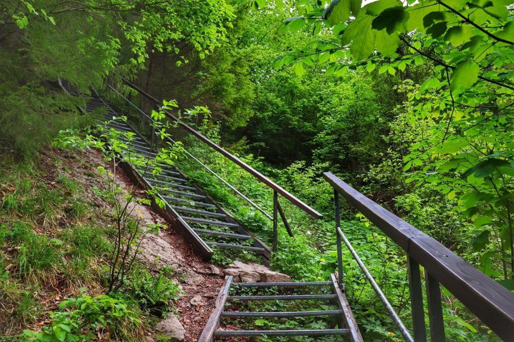 Strome metalowe schody prowadzące przez Wąwóz Homole w Pieninach