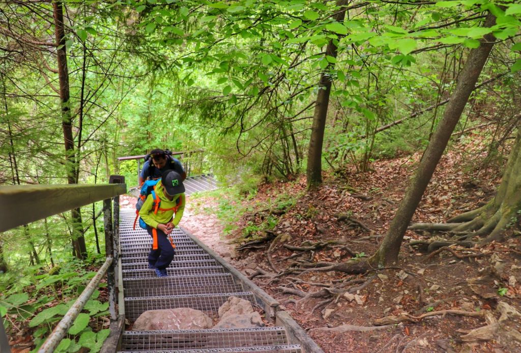 Turyści - dziecko oraz młody mężczyzna wychodzący po metalowych stromych schodach - Wąwóz Homole - Jaworki
