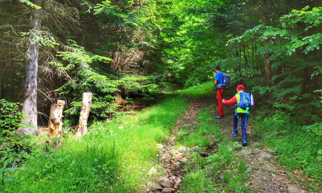Turysta z dzieckiem, droga leśna - Beskid Mały