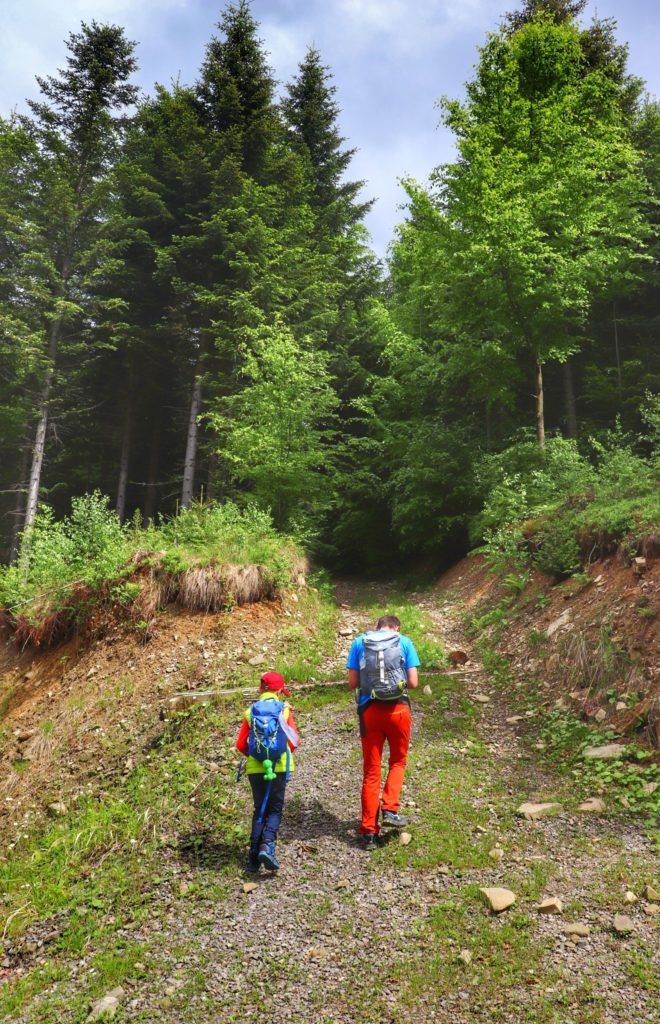 Turysta z dzieckiem, pnąca się w górę droga leśna