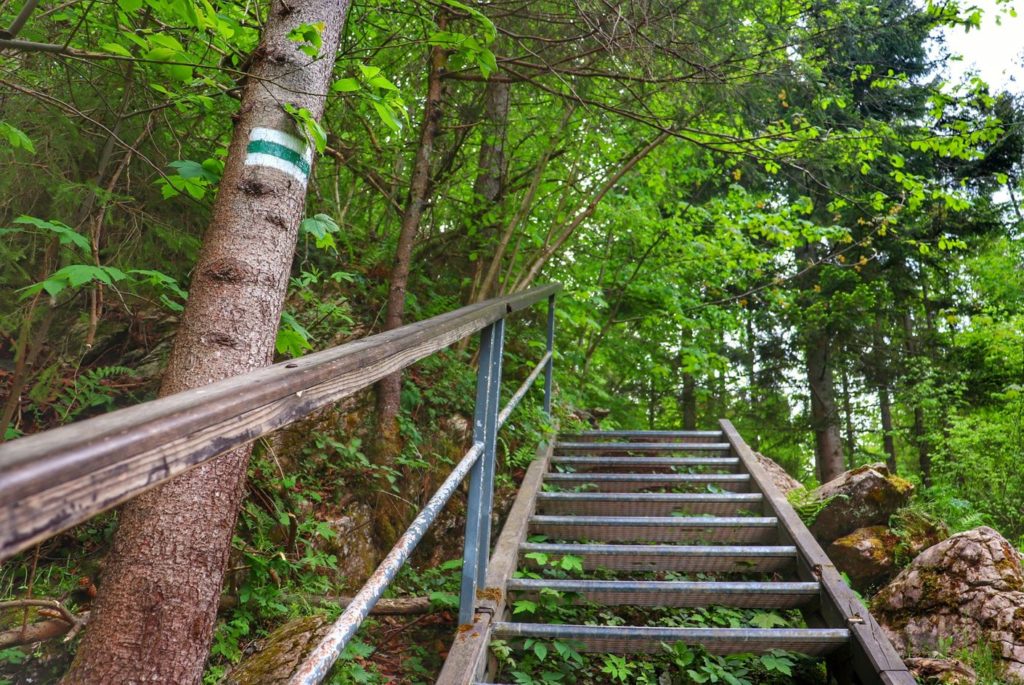 Wąwóz Homole - szlak zielony, strome metalowe schody, skały, las