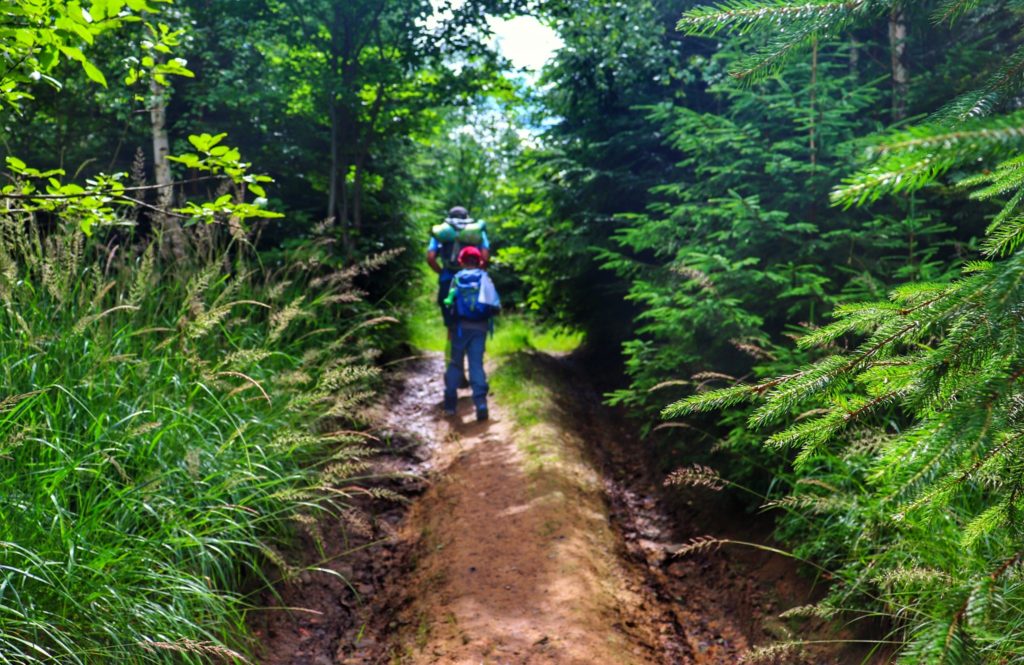 Beskid Śląski, droga leśna, turysta z dzieckiem, letni dzień