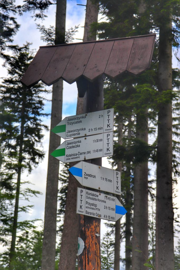 Drewniany słup z białymi tabliczkami - drogowskazy - szlak niebieski Koniaków, szlak zielony Koniaków, droga leśna