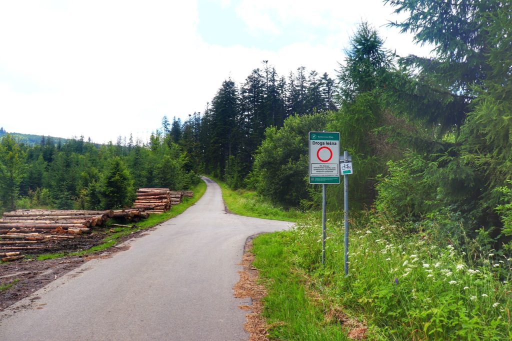 Koniaków - szlak niebieski - szeroka asfaltowa droda, zakaz wjazdu - droga leśna w Koniakowie