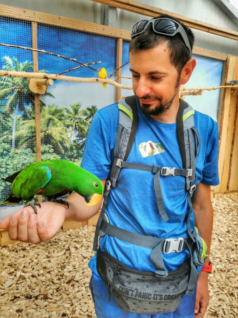 Mężczyzna z zieloną papugą na ręce - Lora Wielka
