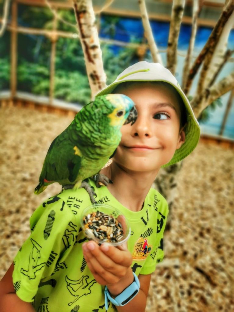 Uśmiechnięte dziecko z zieloną papugą - Amazonka niebieskoczelna na ramieniu - papugarnia w Jarosławcu