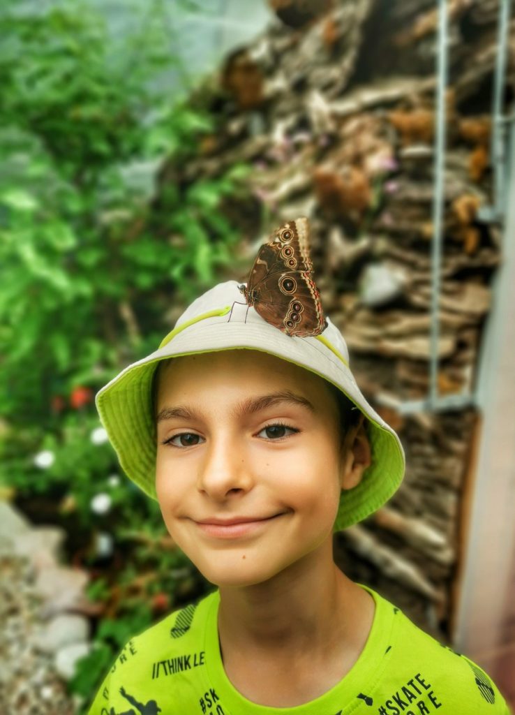 Uśmiechnięte dziecko w kapeluszu, na którym siedzi motyl Caligo memnon, motylarnia w Jarosławcu