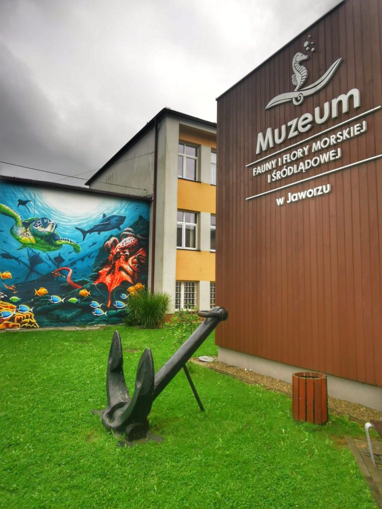 Budynek Muzeum Fauny i Flory Morskiej i Śródlądowej w Jaworzu - mural - Ocean, żółw wodny, ryby