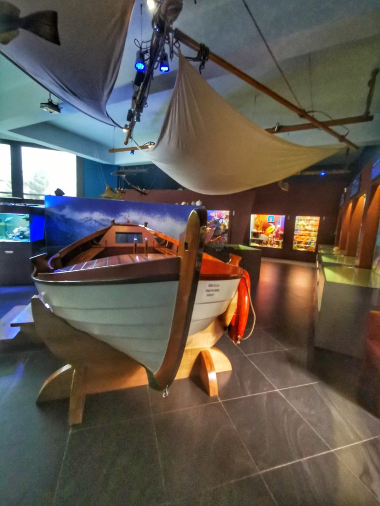 Sala w Muzeum Fauny i Flory Morskiej i Śródlądowej - Jaworze, drewniany statek