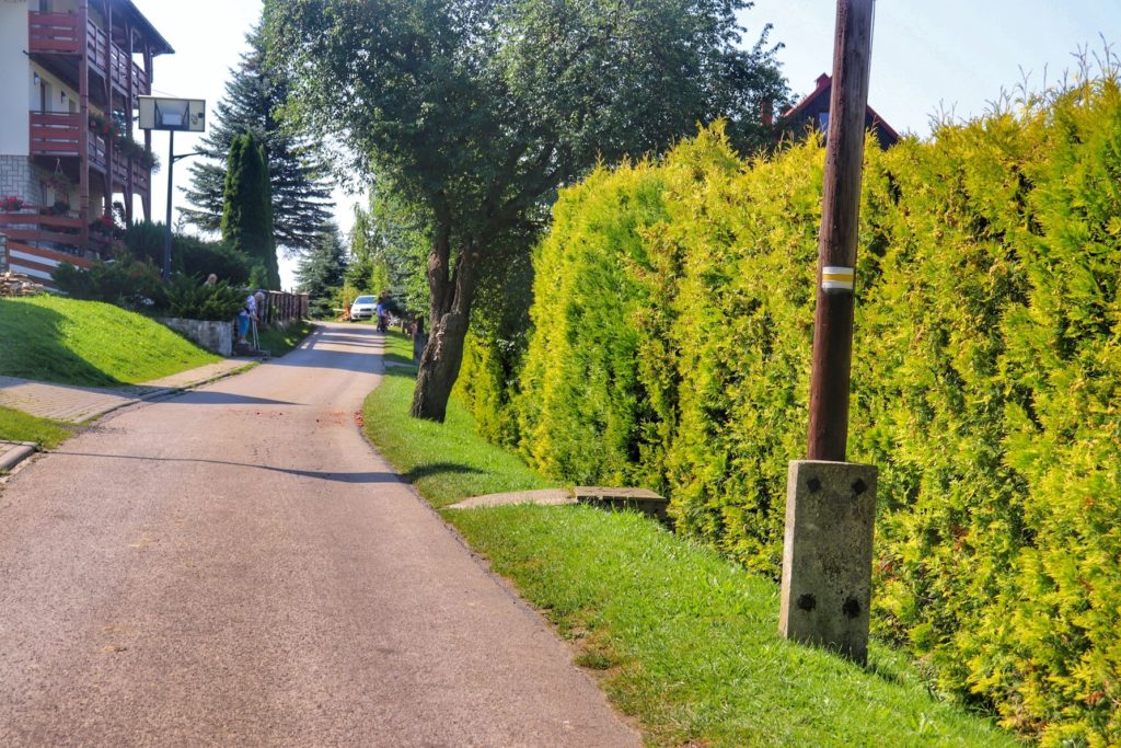 Szeroka asfaltowa droga w Jaworzynce na żółtym szlaku idącym do Trójstyku granic Polski, Czech i Słowacji, słoneczny dzień