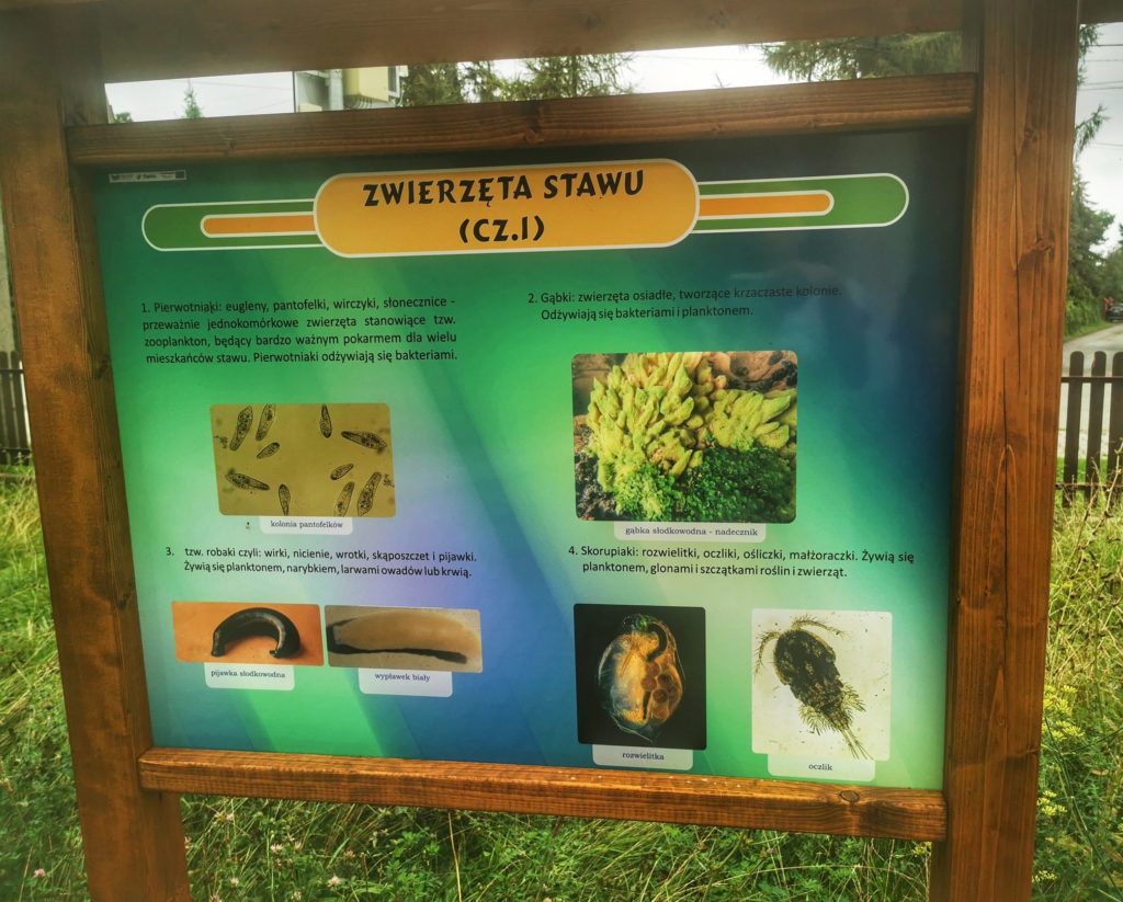 Zwierzęta stawu - tablica informacyjna przy Muzeum w Jaworzu