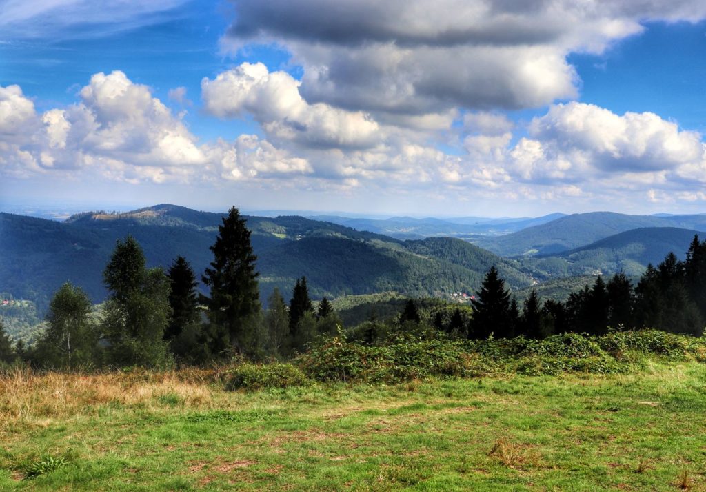 Krajobraz górski - Kiczera - Beskid Mały