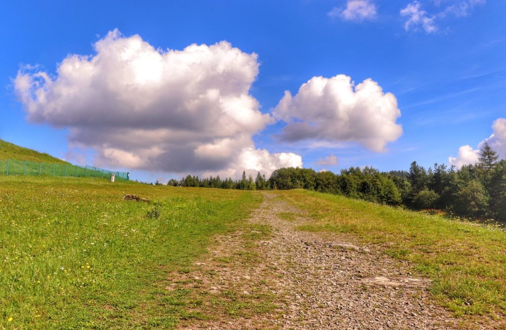 Szeroka droga na czerwonym szlaku idącym z Góry Żar na Kiczerę, zielona trawa, niebieskie niebo