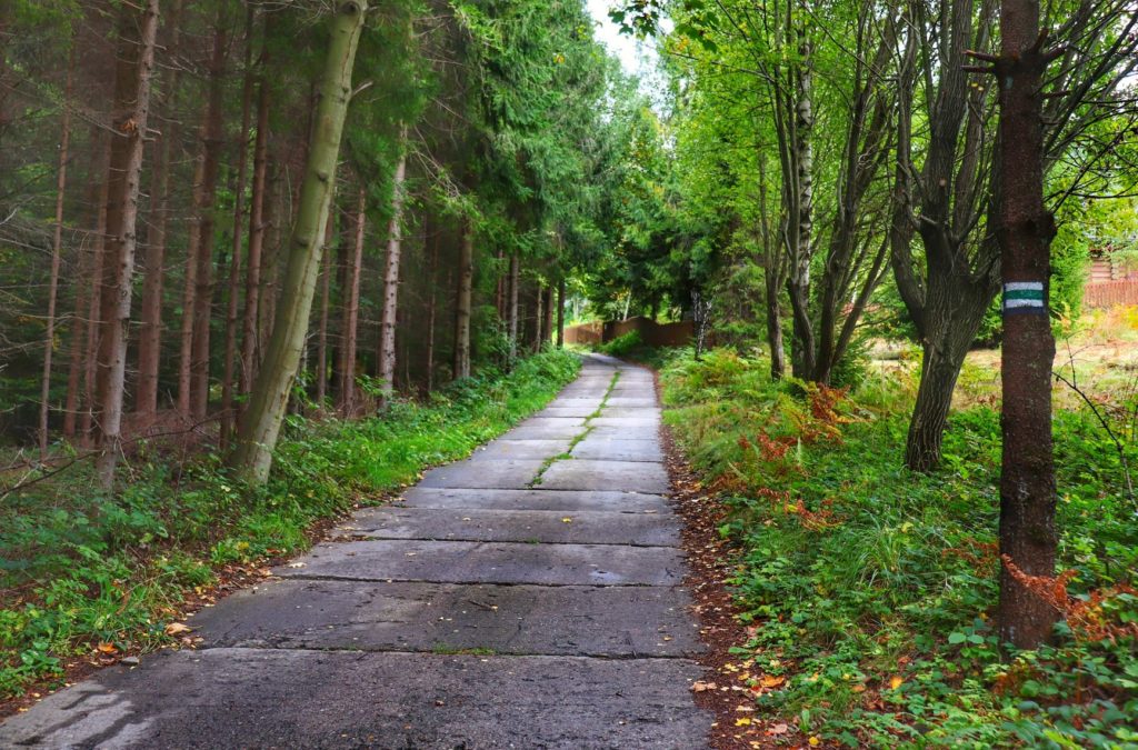Betonowa droga idąca przez las na zielonym szlaku na Stary Groń