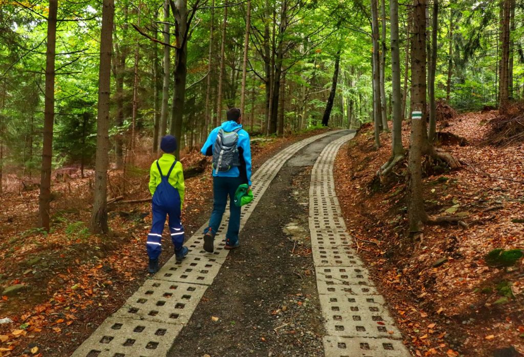 Dziecko z tatą na leśnej betonowej drodze - szlak zielony Brenna