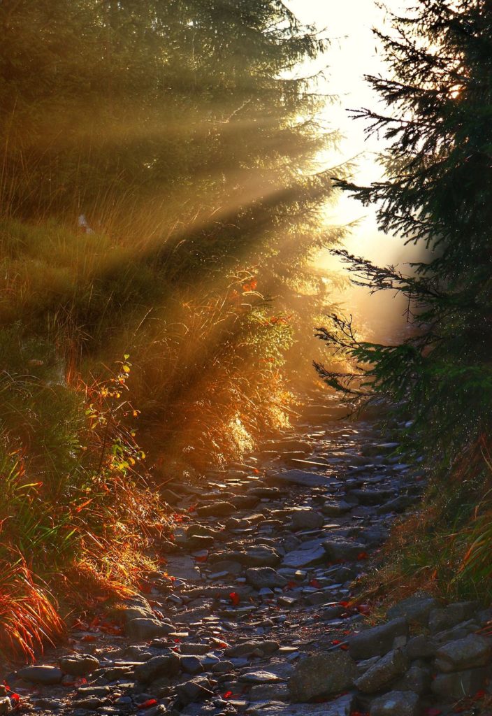 Jesienny poranek na beskidzkim szlaku, las, słoneczne lasery - jesienne słońce przebijające się przez drzewa