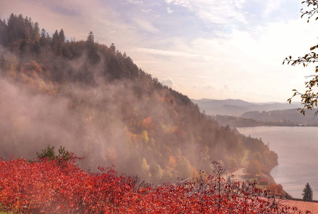 Jesienny widok z zapory Niedzica w kierunku  Jeziora Sromowieckiego