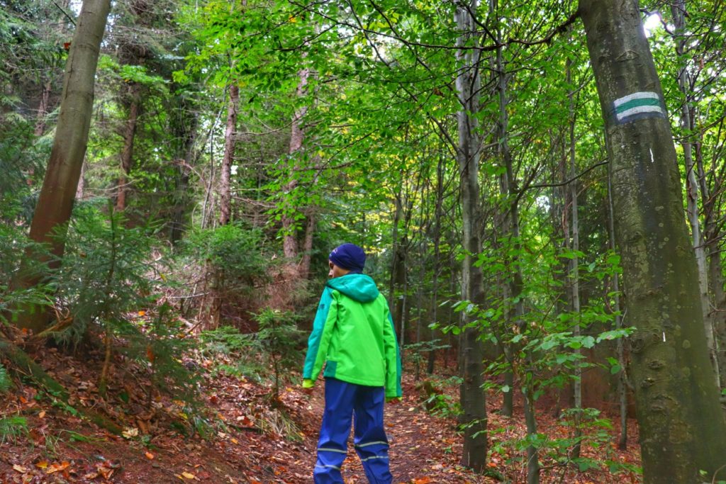 Mały turysta - dziecko, ścieżka leśna, szlak zielony - Brenna Leśniczówka