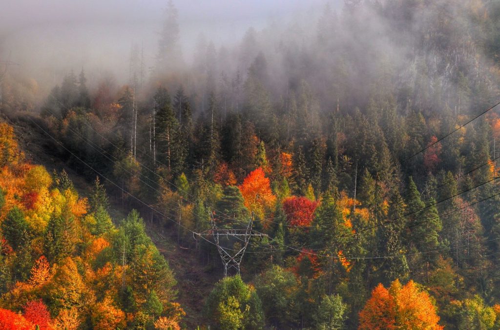 Niedzica-Zamek, jesienne kolorowe drzewa, poranna mgła