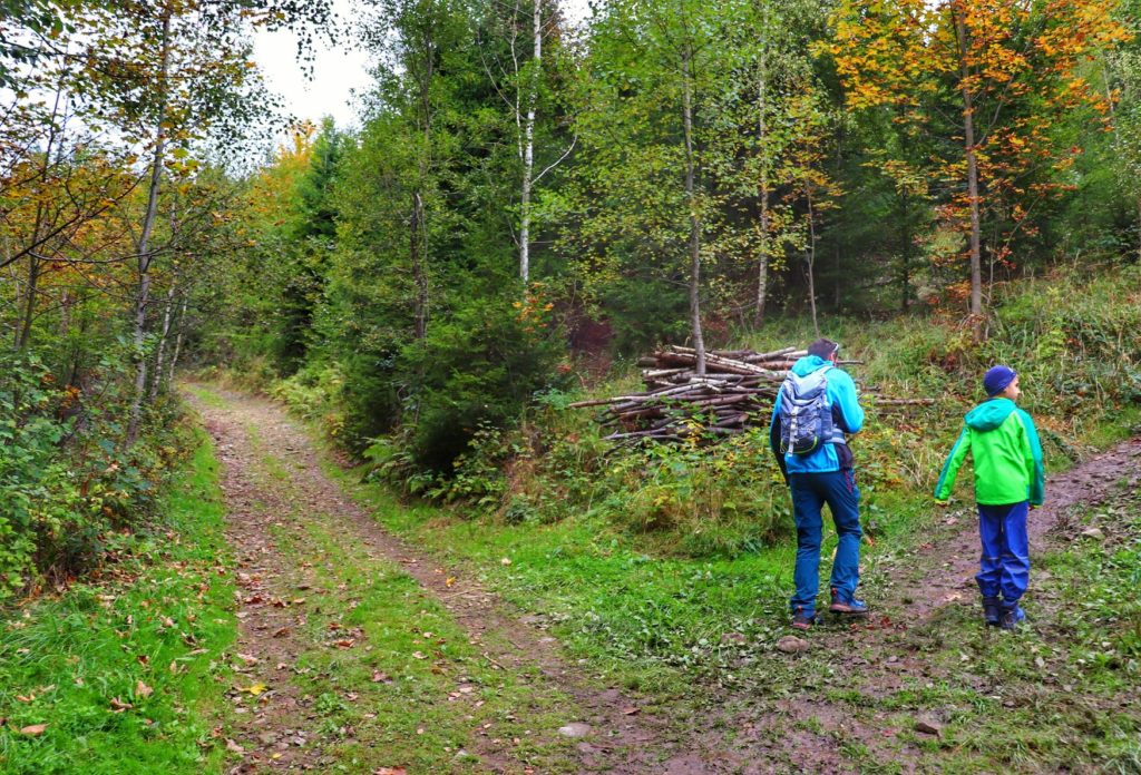 Turysta z dzieckiem idący leśną ścieżką skręcającą w prawo