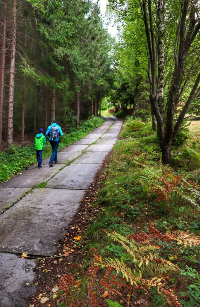Turysta z dzieckiem w drodze na Stary Groń zielonym szlakiem, betonowa leśna droga