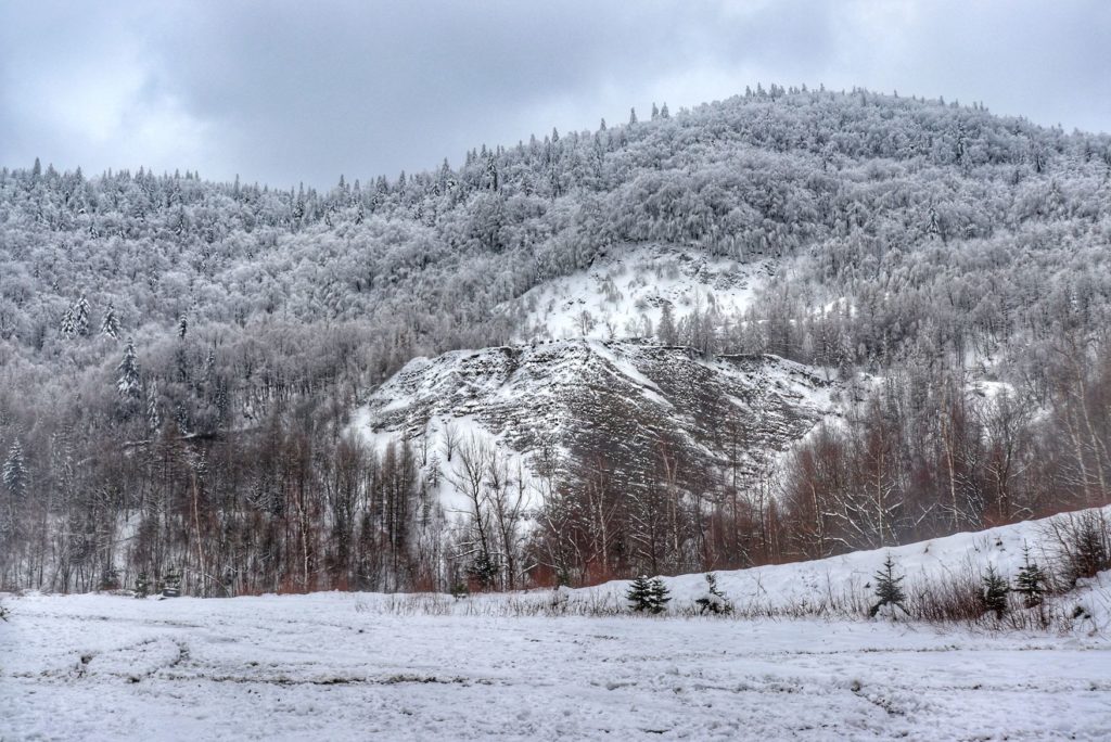Widok na Kamieniołom w Kozach, zima, ośnieżone drzewa