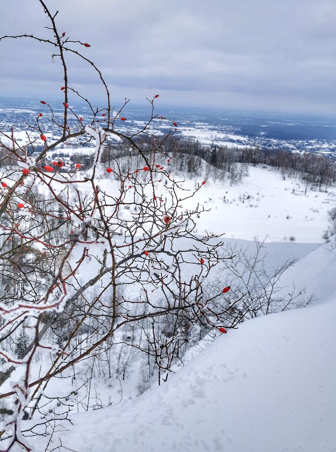 Zima w Beskidzie Małym - zaśnieżony Kamieniołom w Kozach