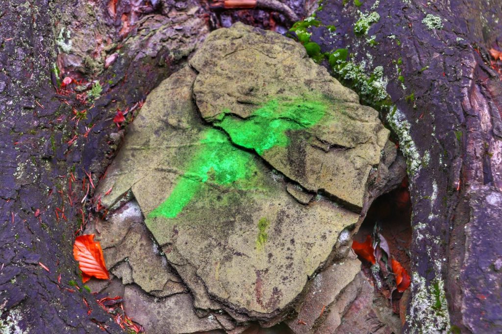 Beskid Mały, skała z oznaczeniem zielonej salamandry