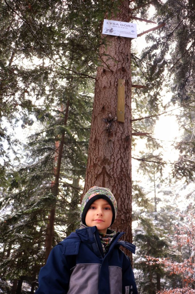 Dziecko na Łysej Górze (Beskid Mały), drzewo, biała tabliczka z napisem Łysa Góra