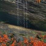 Grota Komonieckiego w Beskidzie Małym, jesień