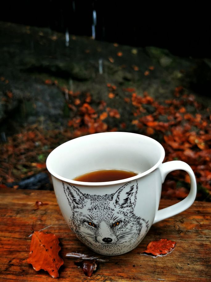 Kubek z herbatą, Grota Komonieckiego jesienią