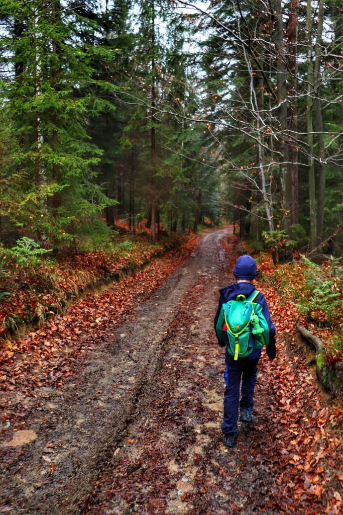 Mały turysta - dziecko idące szeroką drogą prowadzącą przez las - Beskid Mały, jesienna aura