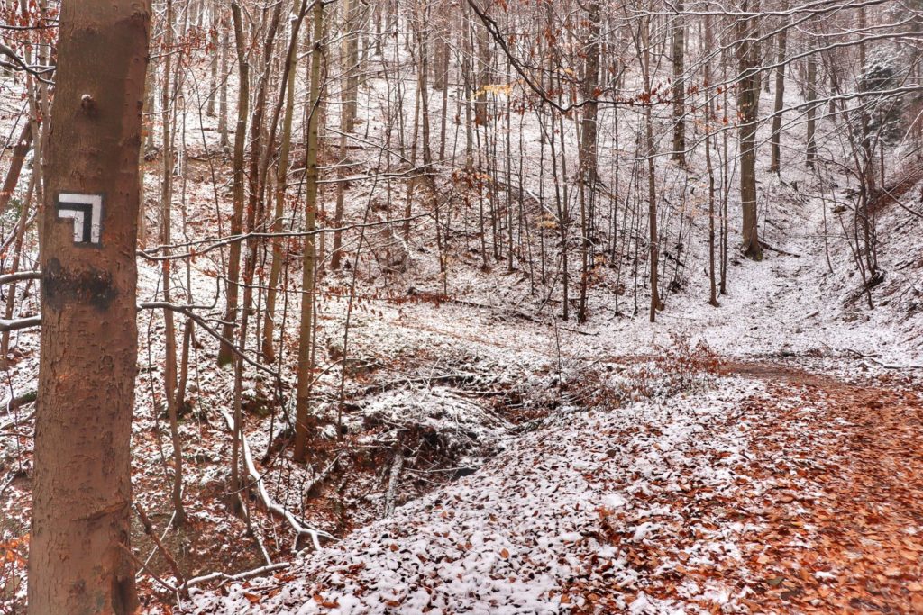 Miejsce skrętu szlaku czarnego w lewo - Beskid Mały, okolica Przełęczy pod Łysą Górą, las, śnieg