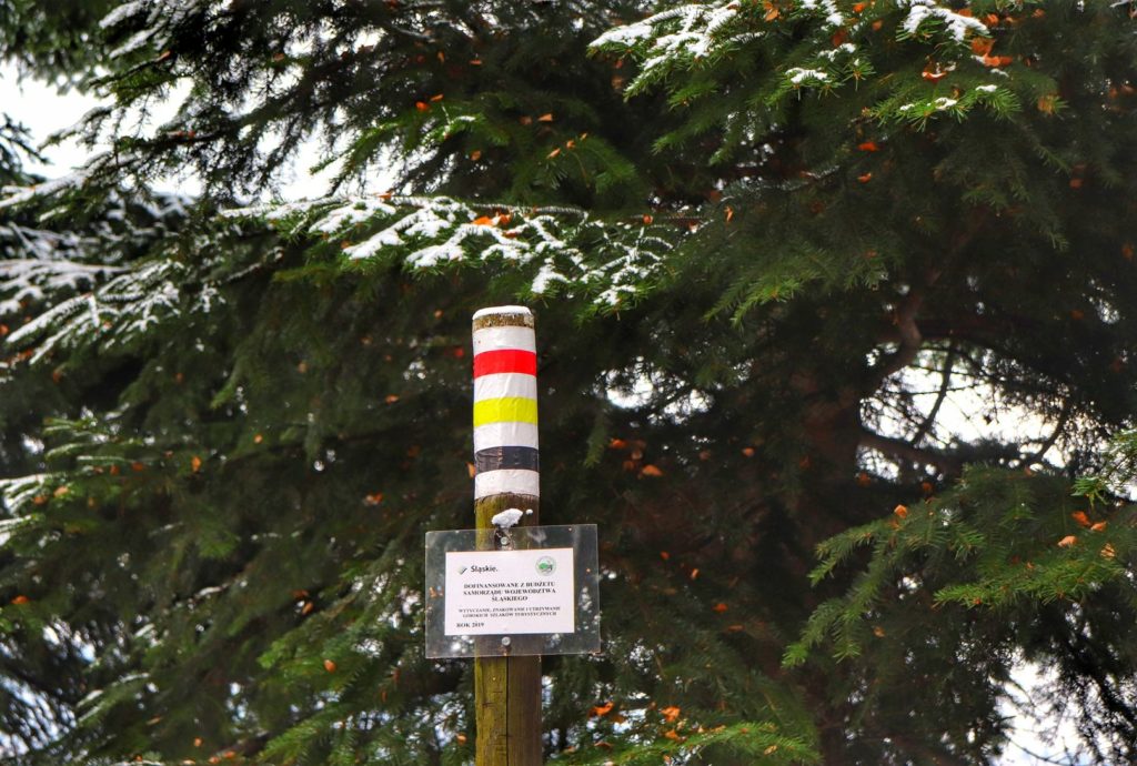 Oznaczenie na drewnianym słupie szlaku czerwonego, szlaku żółtego oraz szlaku czarnego - okolica Przełęczy pod Łysą Górą