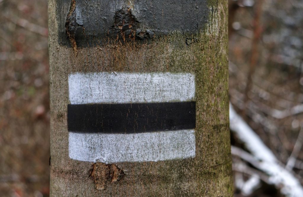 Oznaczenie szlaku czarnego na drzewie