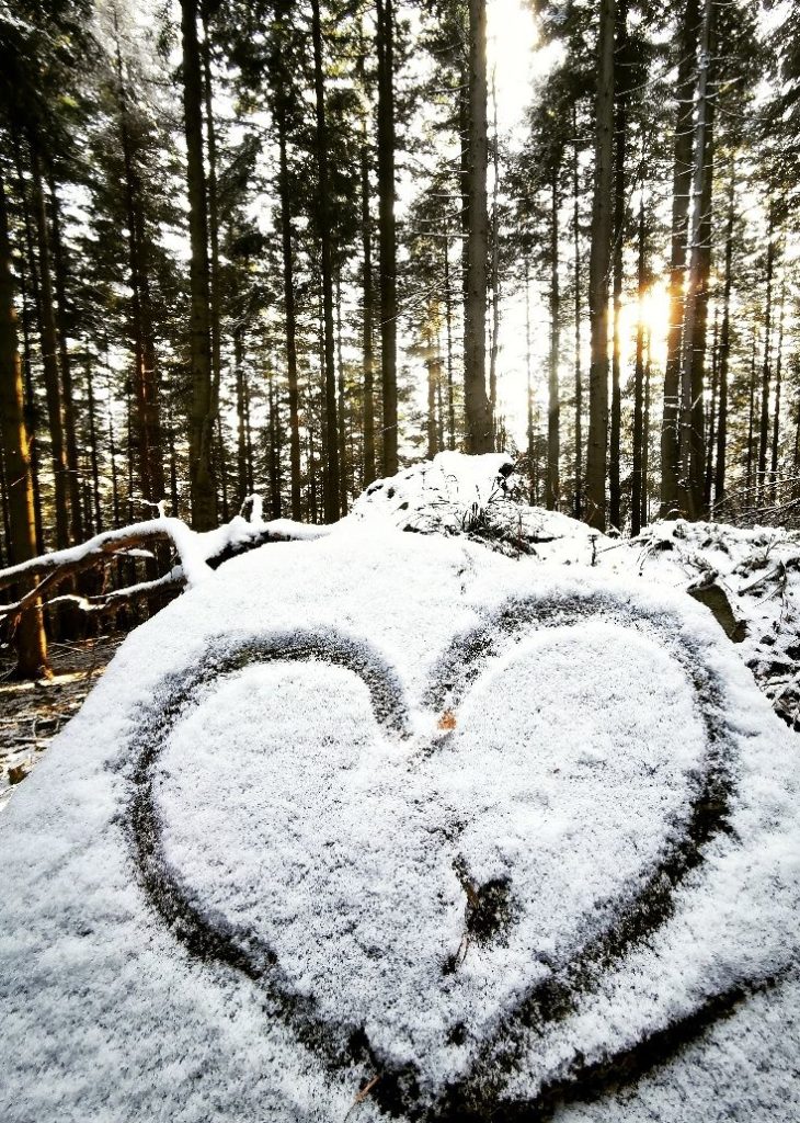 Ośnieżony głaz, serce w śniegu, beskidzki las