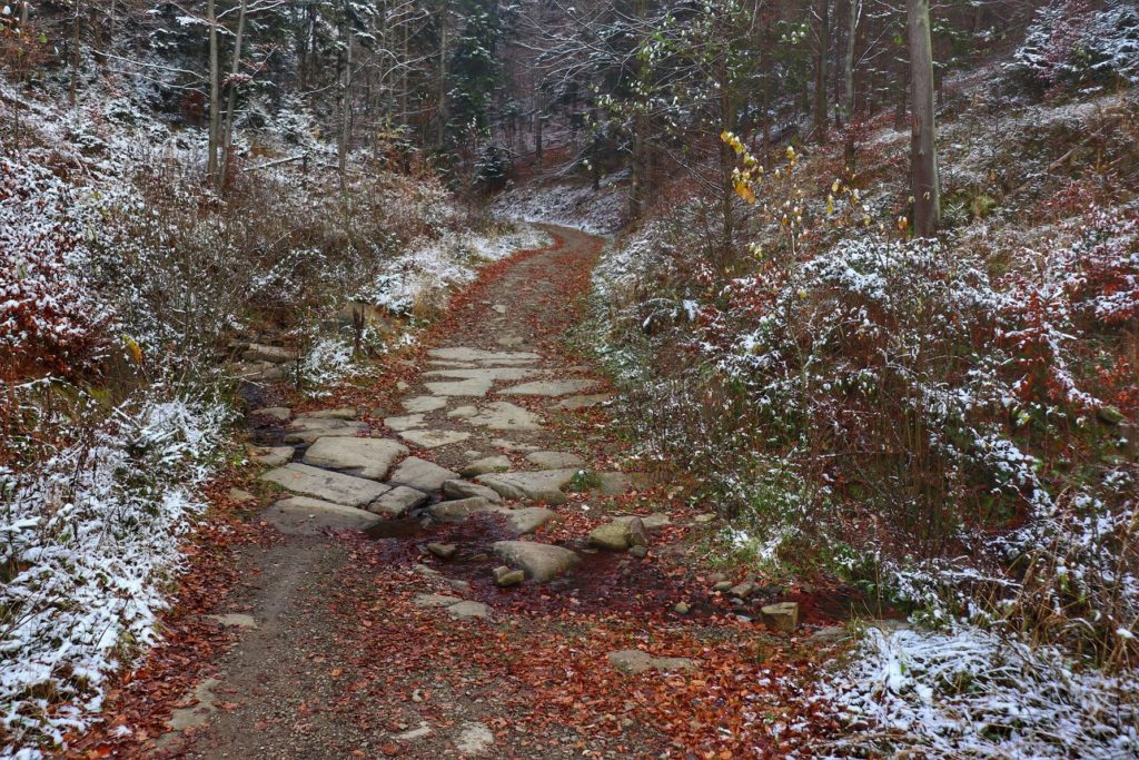 Piękna droga leśna w Beskidzie Małym, jesień, śnieg