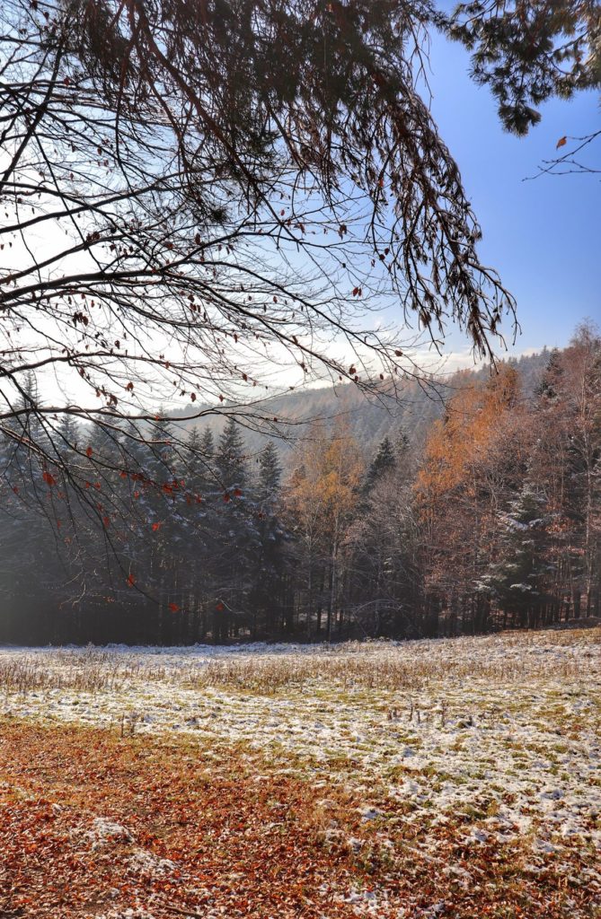 Polna w Beskidzie Małym nieopodal Łysej Góry - jesienno-zimowy krajobraz