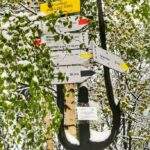 Słup z drogowskazami - Przełęcz pod Łysą Górą w Beskidzie Małym