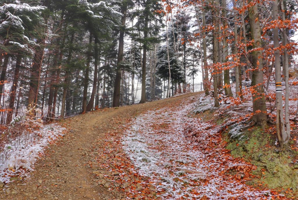 Stroma droga leśna na czarnym szlaku idącym do Przełęczy pod Łysą Górą w Beskidzie Małym, jesień - śnieg
