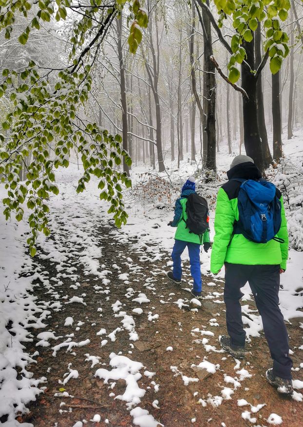 Turysta z dzieckiem, szeroka leśna droga, wiosenny śnieg, mglisty dzień
