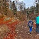 Turysta z dzieckiem, szeroka droga na czarnym szlaku w Bielsku, jesień