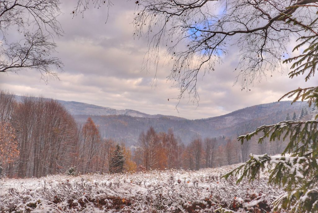 Jesienno-zimowy widok rozciągający się z Przełęczy pod Łysą Górą w Bielsku-Białej
