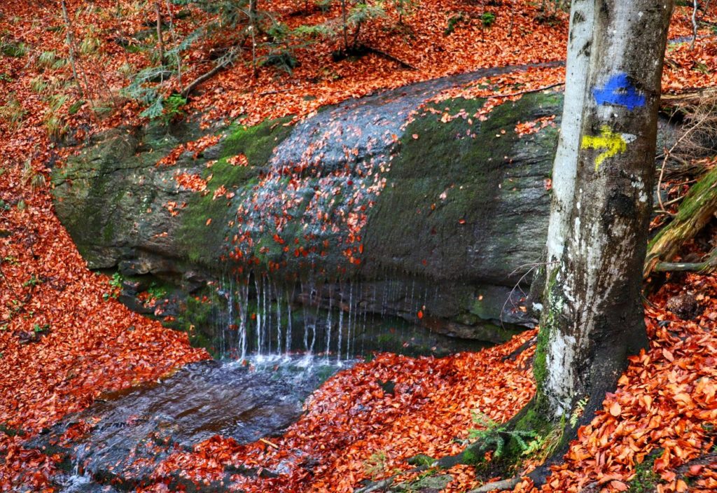 Wodospad Dusiołek na potoku Dusica, jesień