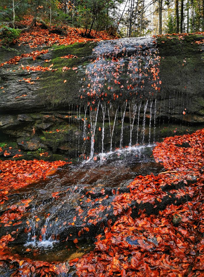 Wodospad Dusiołek w Beskidzie Małym - jesień